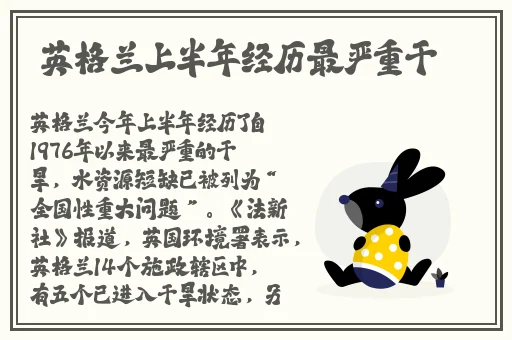 国产剧麻豆剧果冻传媒星空视频